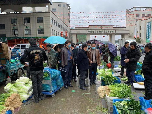 春節(jié)期間食用農(nóng)產(chǎn)品質(zhì)量安全專項(xiàng)執(zhí)法行動(dòng)全面展開，筑牢群眾“菜籃子”安全防線