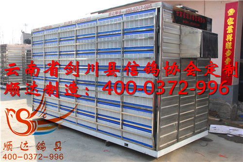 云南省劍川縣信鴿協會定制 放飛籠 訓放籠 賽鴿集裝箱產品展示