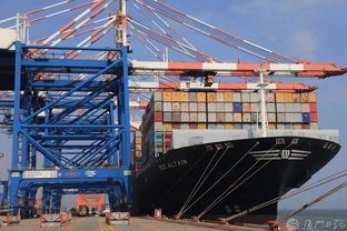 剛剛,廈門曬出上半年經濟 成績單 這些數據亮了